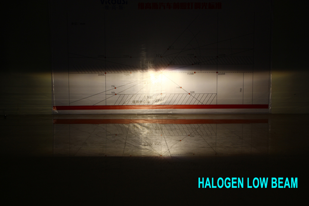 HALOGEN LOW BEAM.jpg